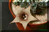 Huernia saudiarabica Field Coll.7828.jpg (62290 bytes)